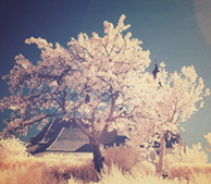 高效实用优质的轰炸电话在线使用